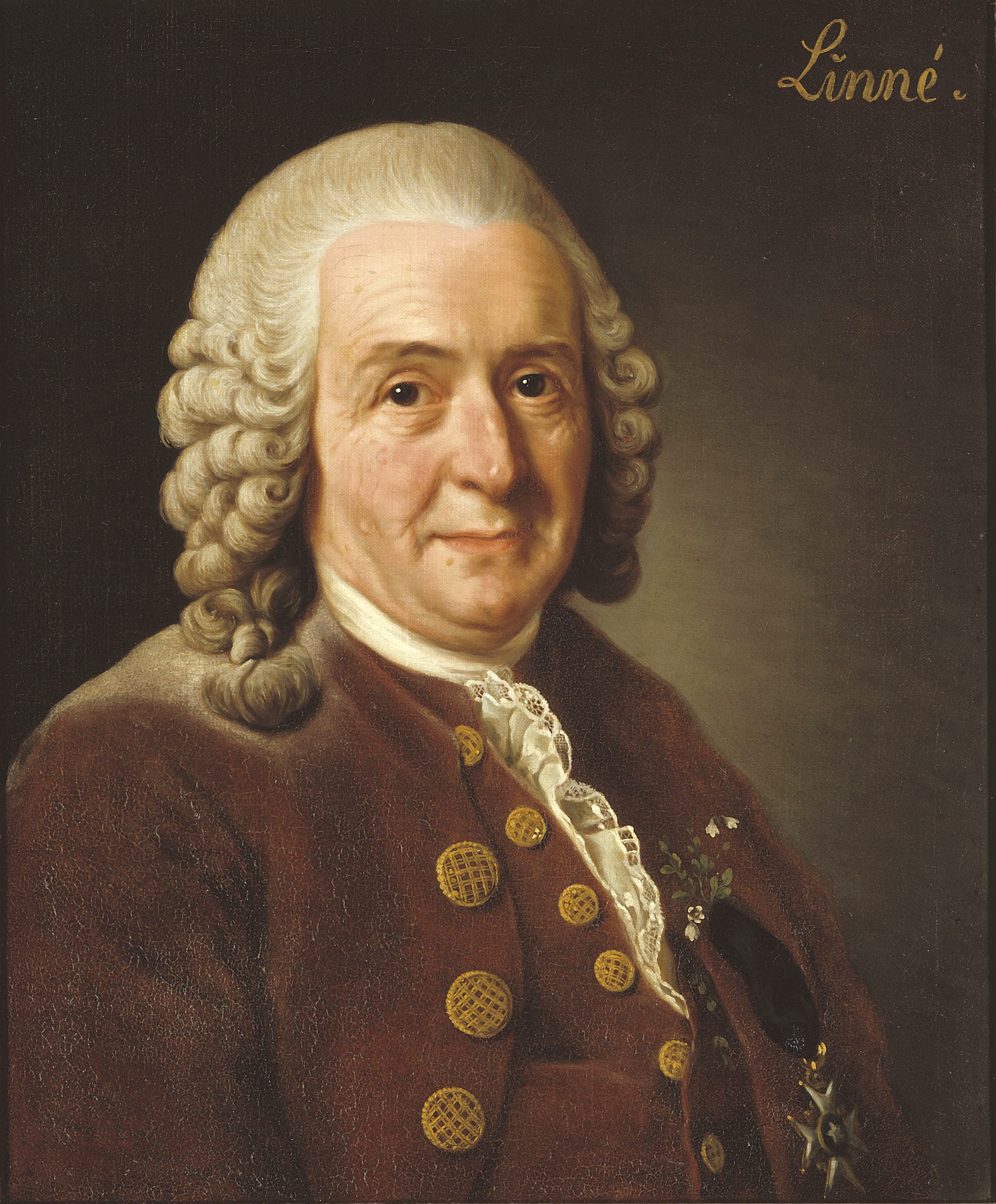 Carl von Linné Carl von Linné